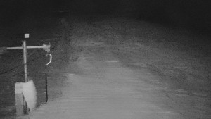 TJ Němčičky - Svah - 30.12.2025 v 06:30 TJ Němčičky - Svah - 30.12.2025 v 06:30