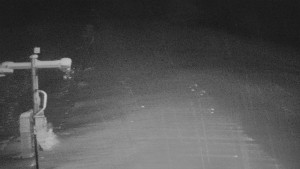 TJ Němčičky - Svah - 13.1.2026 v 06:00 TJ Němčičky - Svah - 13.1.2026 v 06:00