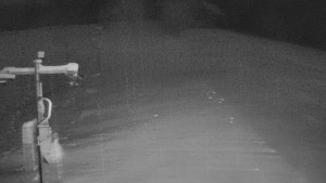 TJ Němčičky - Svah - 13.1.2026 v 07:00 TJ Němčičky - Svah - 13.1.2026 v 07:00