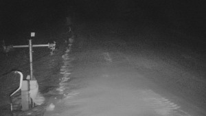 TJ Němčičky - Svah - 26.1.2026 v 01:35 TJ Němčičky - Svah - 26.1.2026 v 01:35