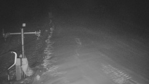 TJ Němčičky - Svah - 26.1.2026 v 03:25 TJ Němčičky - Svah - 26.1.2026 v 03:25