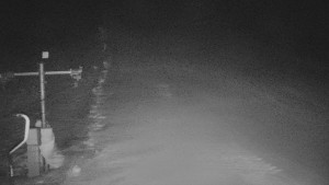 TJ Němčičky - Svah - 26.1.2026 v 04:35 TJ Němčičky - Svah - 26.1.2026 v 04:35