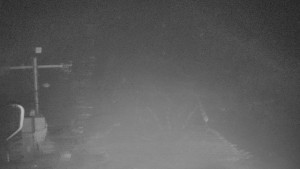 TJ Němčičky - Svah - 26.1.2026 v 05:00 TJ Němčičky - Svah - 26.1.2026 v 05:00