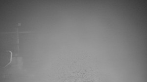 TJ Němčičky - Svah - 26.1.2026 v 06:10 TJ Němčičky - Svah - 26.1.2026 v 06:10