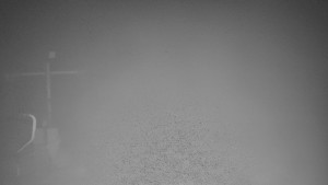 TJ Němčičky - Svah - 26.1.2026 v 06:15 TJ Němčičky - Svah - 26.1.2026 v 06:15