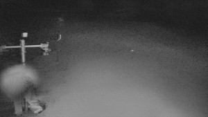 TJ Němčičky - Svah - 15.2.2026 v 03:25 TJ Němčičky - Svah - 15.2.2026 v 03:25