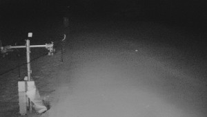 TJ Němčičky - Svah - 15.2.2026 v 05:25 TJ Němčičky - Svah - 15.2.2026 v 05:25