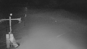 TJ Němčičky - Svah - 15.2.2026 v 05:30 TJ Němčičky - Svah - 15.2.2026 v 05:30