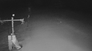 TJ Němčičky - Svah - 15.2.2026 v 05:35 TJ Němčičky - Svah - 15.2.2026 v 05:35