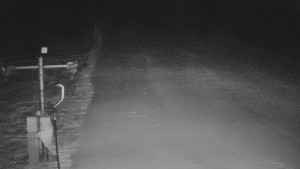 TJ Němčičky - Svah - 18.2.2026 v 04:50 TJ Němčičky - Svah - 18.2.2026 v 04:50