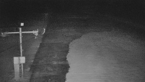 TJ Němčičky - Svah - 14.3.2026 v 01:45 TJ Němčičky - Svah - 14.3.2026 v 01:45