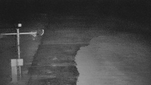 TJ Němčičky - Svah - 15.3.2026 v 01:30 TJ Němčičky - Svah - 15.3.2026 v 01:30