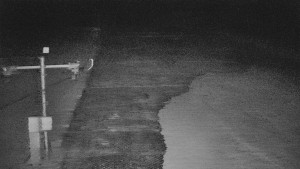 TJ Němčičky - Svah - 15.3.2026 v 19:15 TJ Němčičky - Svah - 15.3.2026 v 19:15