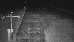 TJ Němčičky - Svah - 19.3.2026 v 00:20 TJ Němčičky - Svah - 19.3.2026 v 00:20