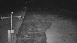 TJ Němčičky - Svah - 19.3.2026 v 01:50 TJ Němčičky - Svah - 19.3.2026 v 01:50