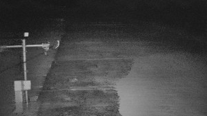 TJ Němčičky - Svah - 19.3.2026 v 04:30 TJ Němčičky - Svah - 19.3.2026 v 04:30