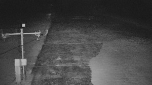 TJ Němčičky - Svah - 19.3.2026 v 04:45 TJ Němčičky - Svah - 19.3.2026 v 04:45