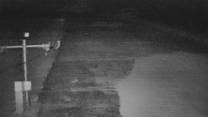 TJ Němčičky - Svah - 19.3.2026 v 05:00 TJ Němčičky - Svah - 19.3.2026 v 05:00