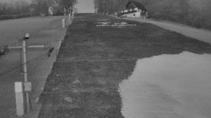 TJ Němčičky - Svah - 19.3.2026 v 05:25 TJ Němčičky - Svah - 19.3.2026 v 05:25