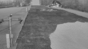 TJ Němčičky - Svah - 19.3.2026 v 05:30 TJ Němčičky - Svah - 19.3.2026 v 05:30