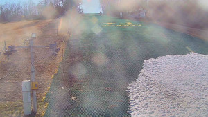 TJ Němčičky - Svah - 19.3.2026 v 14:50 TJ Němčičky - Svah - 19.3.2026 v 14:50