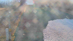 TJ Němčičky - Svah - 19.3.2026 v 15:10 TJ Němčičky - Svah - 19.3.2026 v 15:10