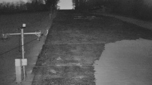 TJ Němčičky - Svah - 19.3.2026 v 18:50 TJ Němčičky - Svah - 19.3.2026 v 18:50