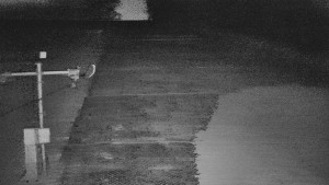 TJ Němčičky - Svah - 19.3.2026 v 19:00 TJ Němčičky - Svah - 19.3.2026 v 19:00