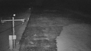 TJ Němčičky - Svah - 19.3.2026 v 19:15 TJ Němčičky - Svah - 19.3.2026 v 19:15