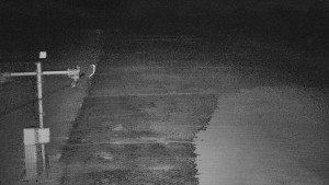 TJ Němčičky - Svah - 19.3.2026 v 19:30 TJ Němčičky - Svah - 19.3.2026 v 19:30