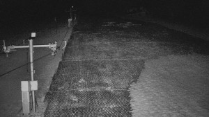 TJ Němčičky - Svah - 19.3.2026 v 19:40 TJ Němčičky - Svah - 19.3.2026 v 19:40