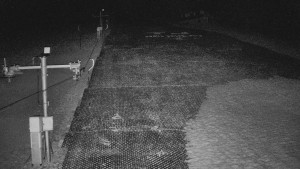 TJ Němčičky - Svah - 19.3.2026 v 22:10 TJ Němčičky - Svah - 19.3.2026 v 22:10