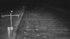 TJ Němčičky - Svah - 5.4.2026 v 01:05 TJ Němčičky - Svah - 5.4.2026 v 01:05