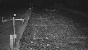 TJ Němčičky - Svah - 5.4.2026 v 01:35 TJ Němčičky - Svah - 5.4.2026 v 01:35