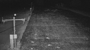 TJ Němčičky - Svah - 5.4.2026 v 01:50 TJ Němčičky - Svah - 5.4.2026 v 01:50