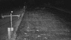 TJ Němčičky - Svah - 5.4.2026 v 02:10 TJ Němčičky - Svah - 5.4.2026 v 02:10