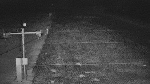 TJ Němčičky - Svah - 5.4.2026 v 02:15 TJ Němčičky - Svah - 5.4.2026 v 02:15