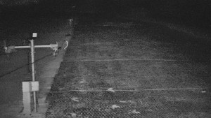 TJ Němčičky - Svah - 5.4.2026 v 02:45 TJ Němčičky - Svah - 5.4.2026 v 02:45