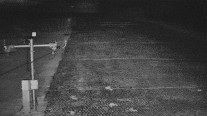 TJ Němčičky - Svah - 5.4.2026 v 03:15 TJ Němčičky - Svah - 5.4.2026 v 03:15