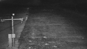 TJ Němčičky - Svah - 5.4.2026 v 03:25 TJ Němčičky - Svah - 5.4.2026 v 03:25