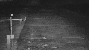 TJ Němčičky - Svah - 5.4.2026 v 03:30 TJ Němčičky - Svah - 5.4.2026 v 03:30