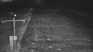 TJ Němčičky - Svah - 5.4.2026 v 03:45 TJ Němčičky - Svah - 5.4.2026 v 03:45