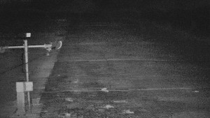 TJ Němčičky - Svah - 5.4.2026 v 03:50 TJ Němčičky - Svah - 5.4.2026 v 03:50