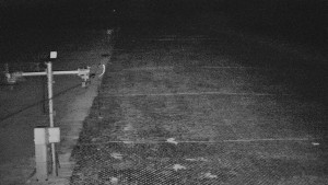 TJ Němčičky - Svah - 5.4.2026 v 04:15 TJ Němčičky - Svah - 5.4.2026 v 04:15