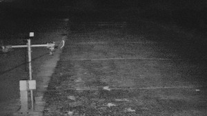 TJ Němčičky - Svah - 5.4.2026 v 04:25 TJ Němčičky - Svah - 5.4.2026 v 04:25