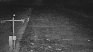 TJ Němčičky - Svah - 5.4.2026 v 04:42 TJ Němčičky - Svah - 5.4.2026 v 04:42