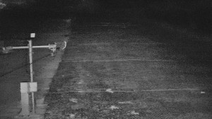 TJ Němčičky - Svah - 5.4.2026 v 04:55 TJ Němčičky - Svah - 5.4.2026 v 04:55