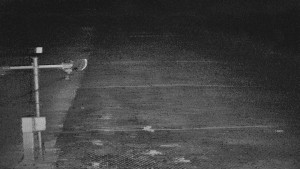 TJ Němčičky - Svah - 5.4.2026 v 05:00 TJ Němčičky - Svah - 5.4.2026 v 05:00