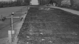 TJ Němčičky - Svah - 5.4.2026 v 05:45 TJ Němčičky - Svah - 5.4.2026 v 05:45