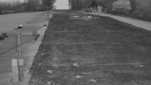 TJ Němčičky - Svah - 5.4.2026 v 05:50 TJ Němčičky - Svah - 5.4.2026 v 05:50